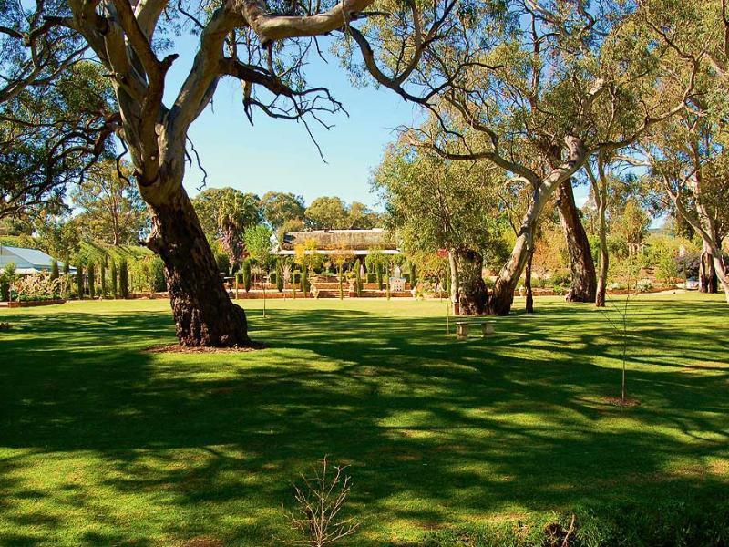 Jacobs Creek Retreat - Barossa Valley Танунда Екстер'єр фото